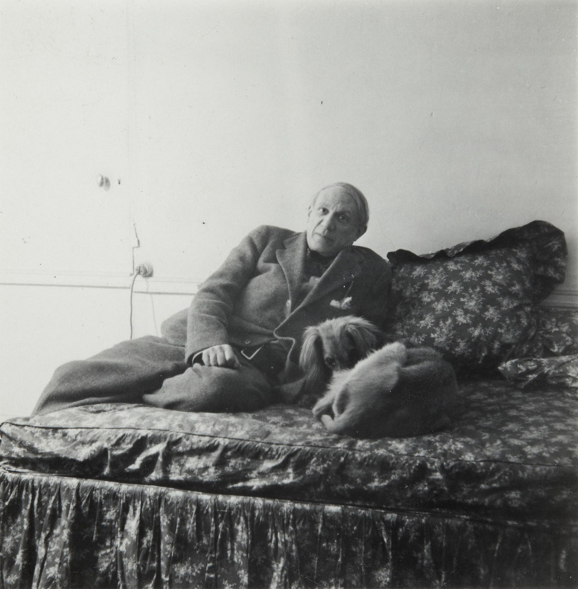 Leilão Pablo Picasso e seu cachorro foto Dora Maar - Paris, 1942