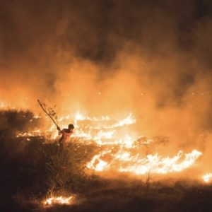 jovens fotógrafos Fotografia ambiental prêmio concurso queimada