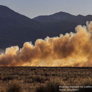 Webinar cobertura ondas de calor covering climate now mudança climática aquecimento global jornalismo ambiental incêndio florestal