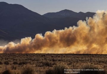 Webinar cobertura ondas de calor covering climate now mudança climática aquecimento global jornalismo ambiental incêndio florestal