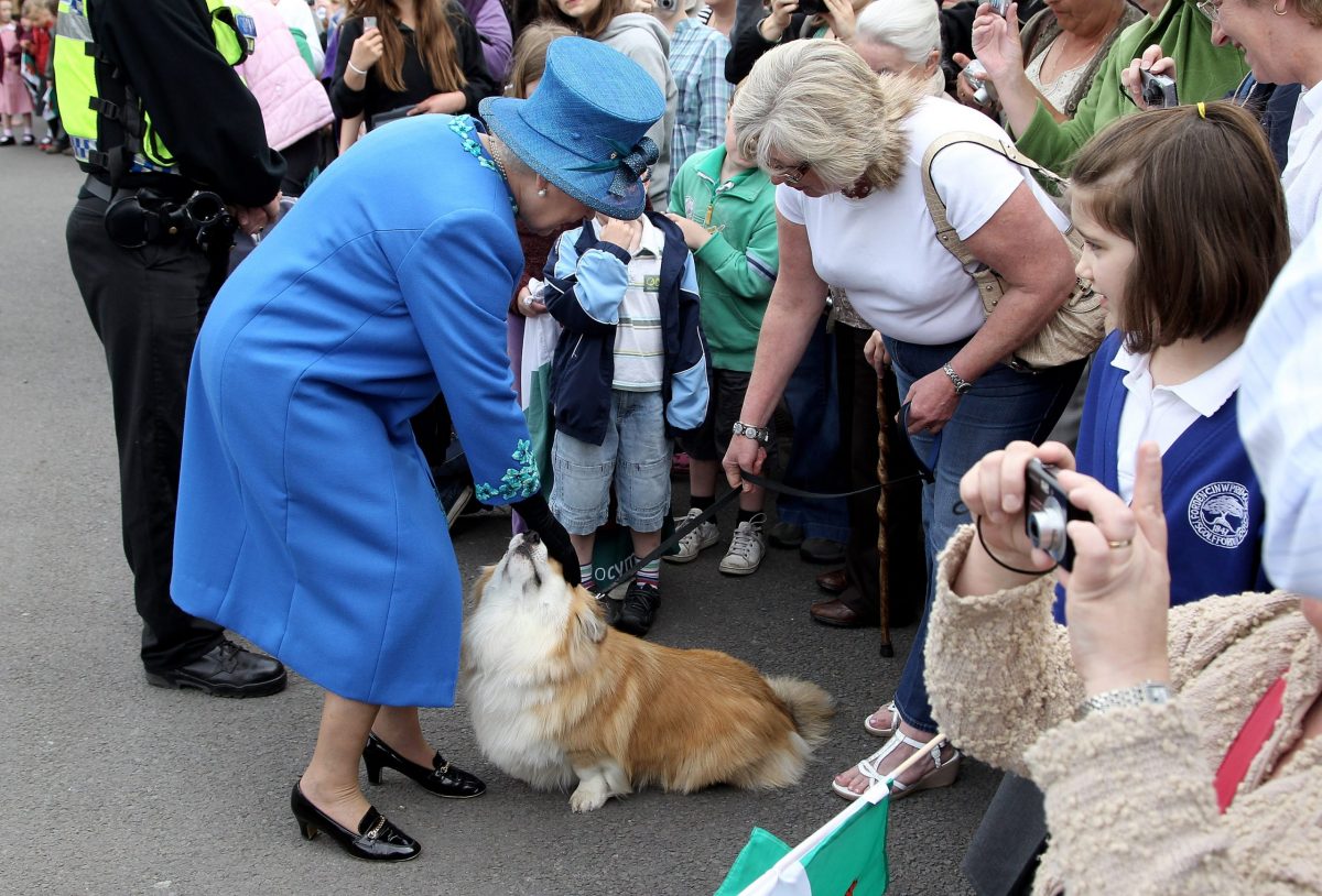 Fotografia Rainha Elizabeth com cachorro monarquia realeza 