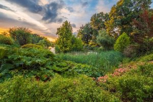 floresta Chegada da primavera foto premiada concurso de fotografia Garden Photographer Reino Unido 