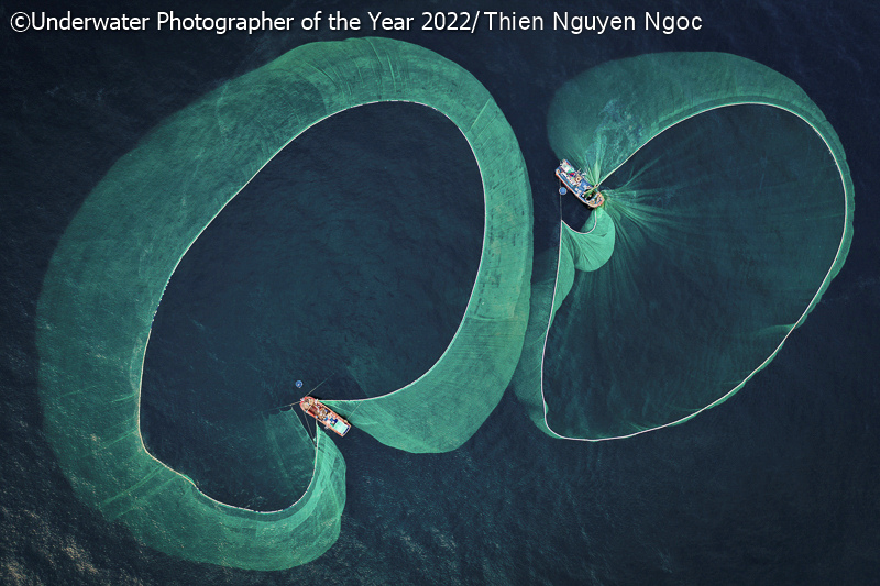 Imagem da pesca de anchovas do prêmio de Fotografia Subaquática