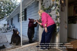 Mulher com urso concurso fotografia ambiental