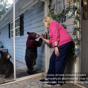 Mulher com urso concurso fotografia ambiental