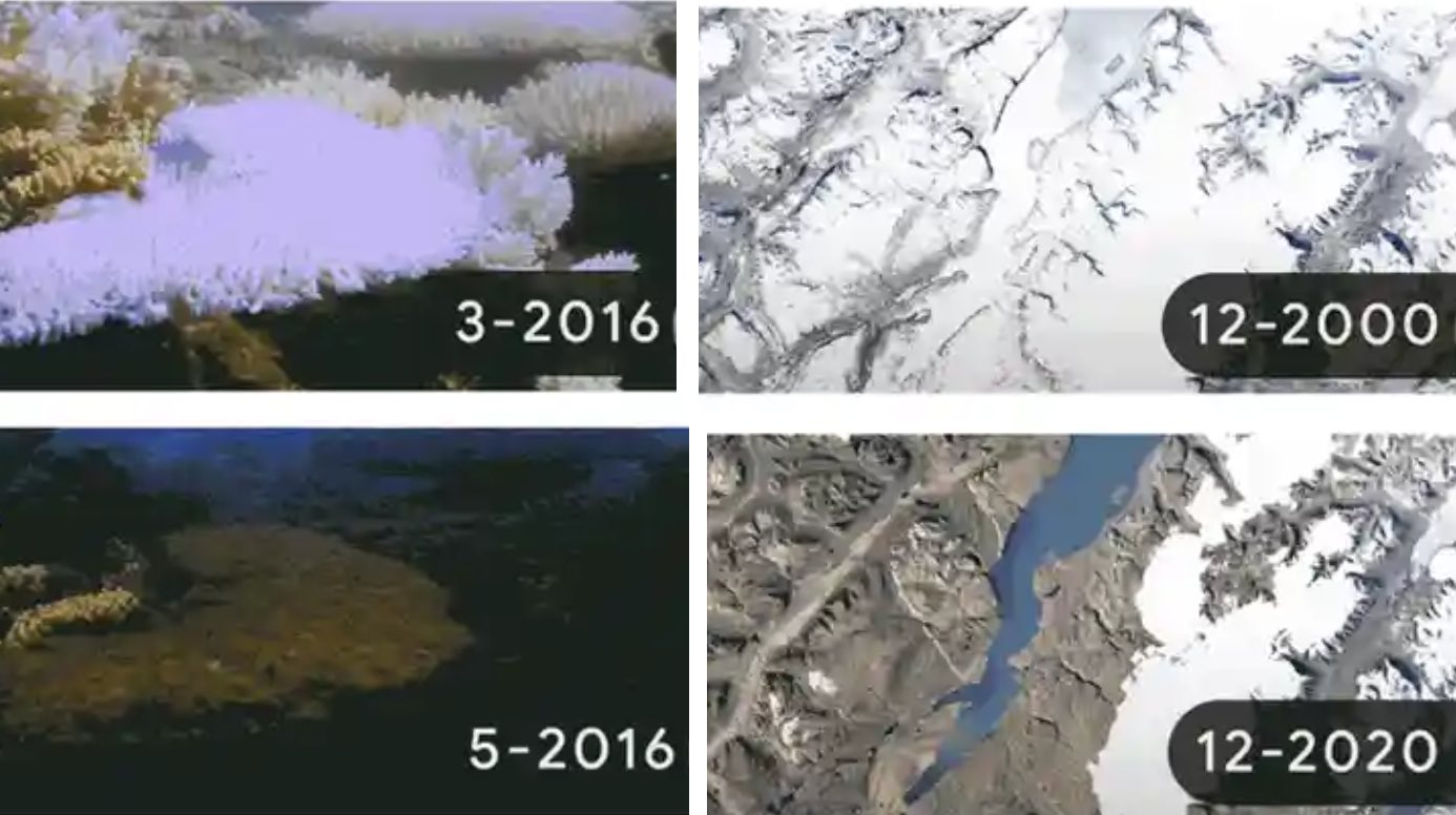 Dia da Terra: Doodle do Google alerta sobre crise da mudança climática