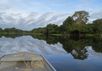 Latin America Journalists on Covering the Amazon