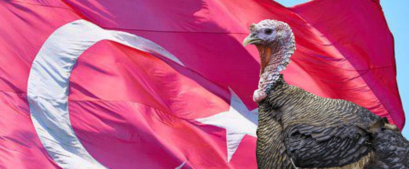 Turquia rebranding novo nome Erdogan Peru Turkey