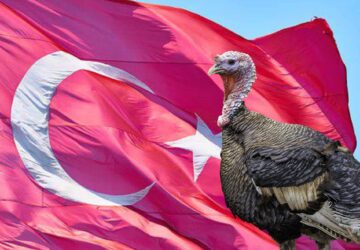 Turquia rebranding novo nome Erdogan Peru Turkey