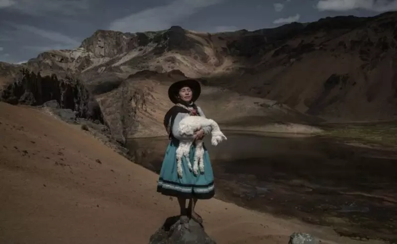 Foto de mulher segurando uma alpaca é uma das vencedoras do prêmio de fotografia ética World Report Award Peru