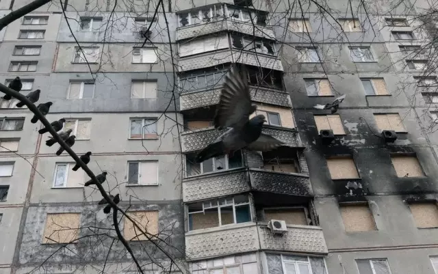 Foto de pomba voando com prêdio ao fundo é uma das vencedoras do prêmio de fotografia ética World Report Award - Ucrânia