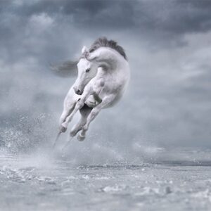 Foto de cavalo saltando na neve é uma das selecionadas no Creative Photo Awards do Festival de Siena