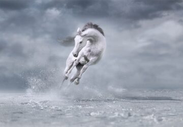 Foto de cavalo saltando na neve é uma das selecionadas no Creative Photo Awards do Festival de Siena