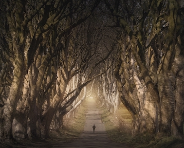 Foto de pessoa andando em alameda de árvores na Irlanda do Norte é uma das selecionadas no Creative Photo Awards do Festival de Siena