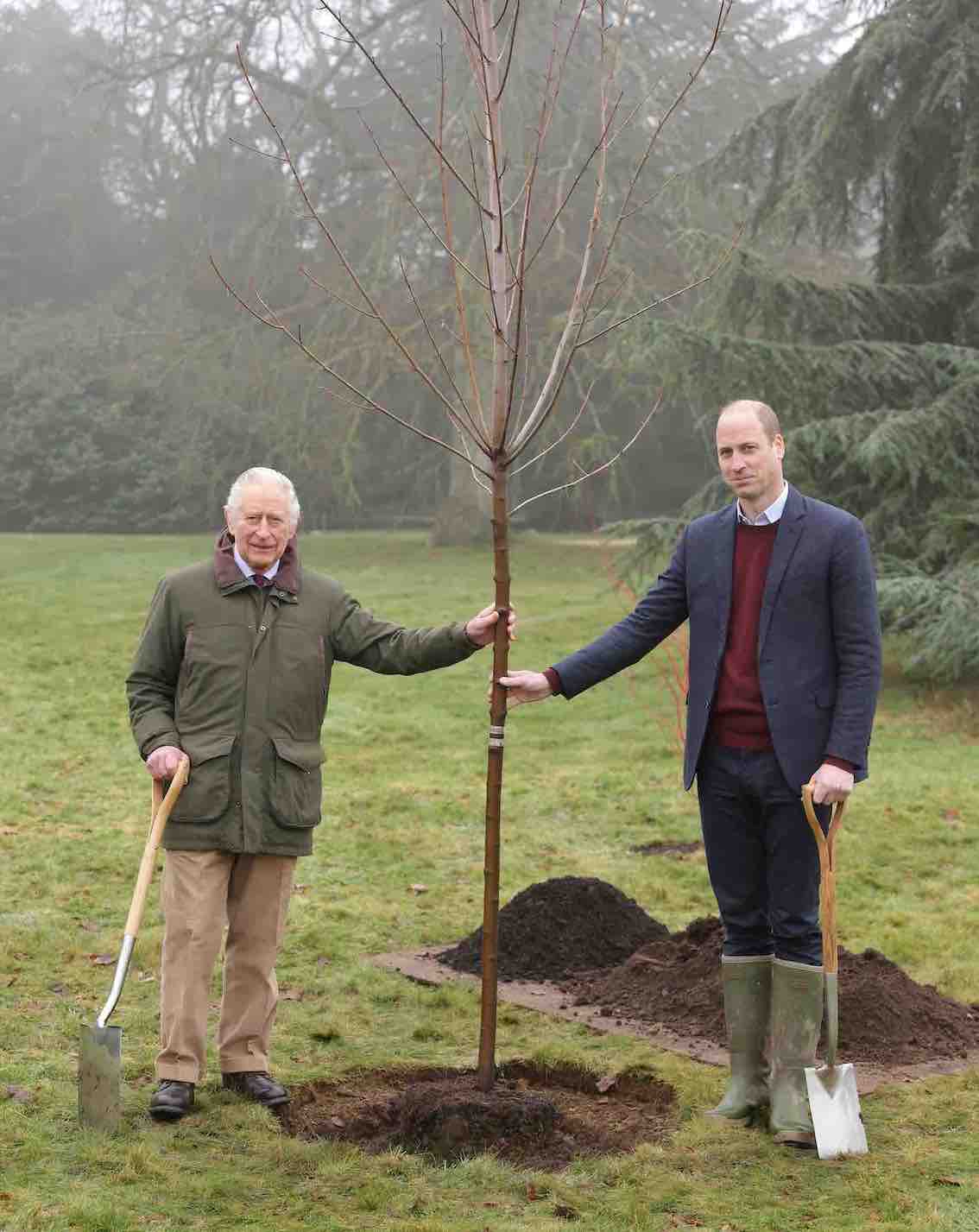 Rei Charles III e Príncipe William plantam uma árvore para marcar o fim da iniciativa The Queen's Green Canopy nos jardins da Sandringham House em abril de 2023