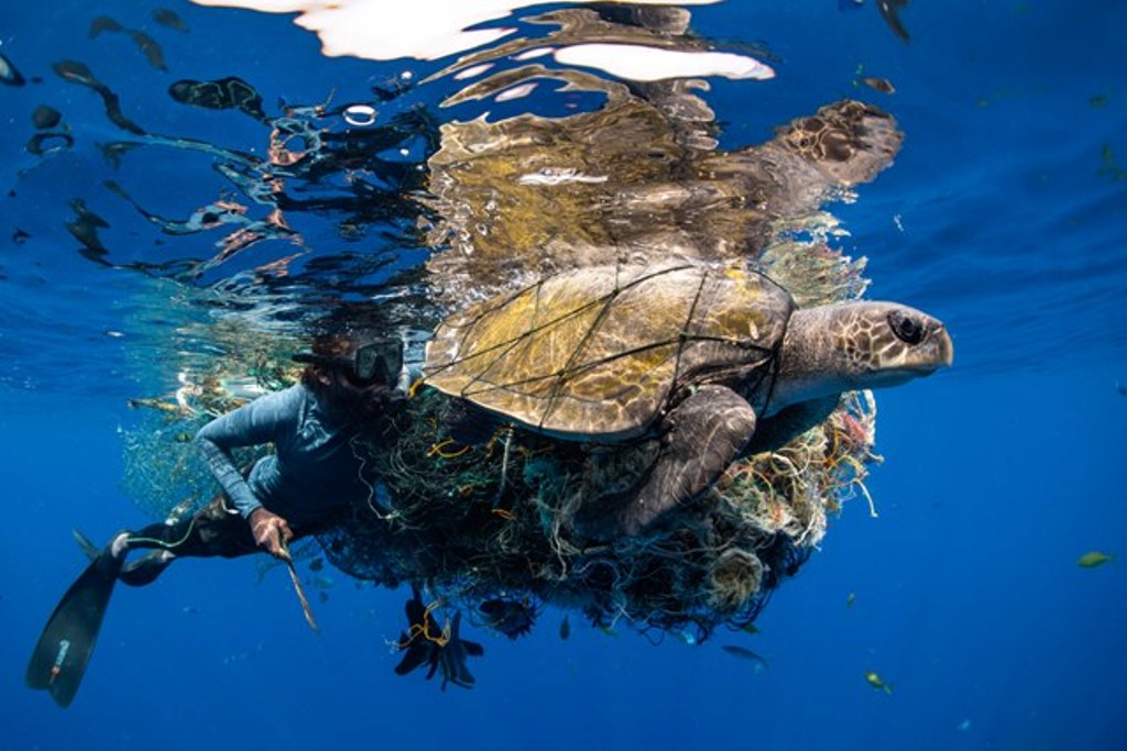 mergulhador e tartaruga prêmio de fotografia concurso de fotografia fotografia do oceano fotógrafo do oceano Ocean Photography Awards Sri Lanka