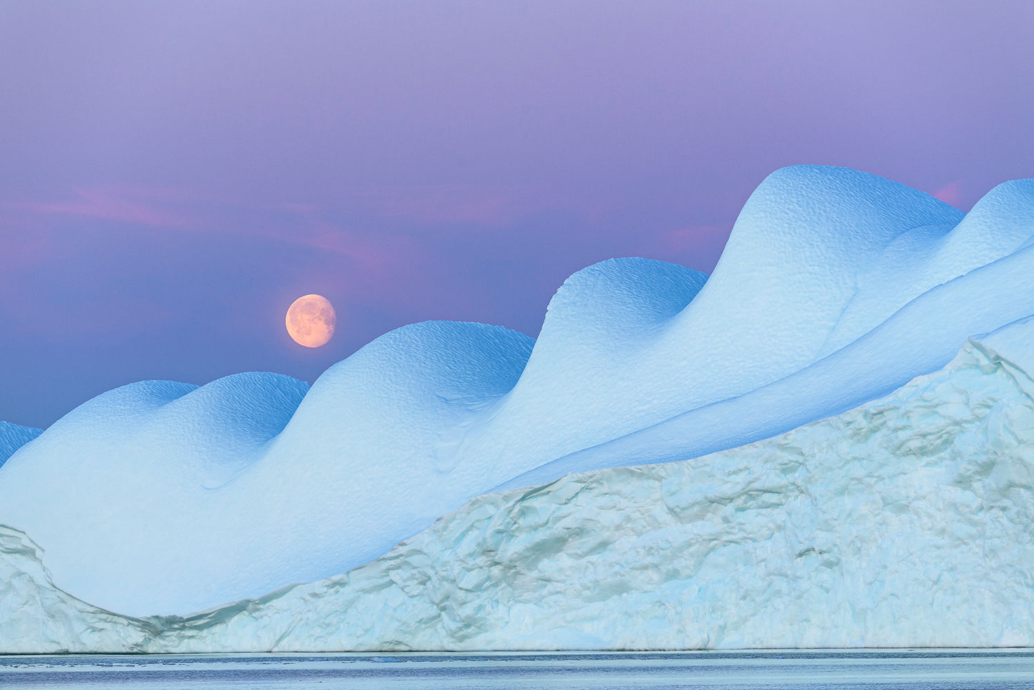 iceberg oncurso de fotografia prêmio de fotografia fotografia da vida selvagem Big Picture Photography 