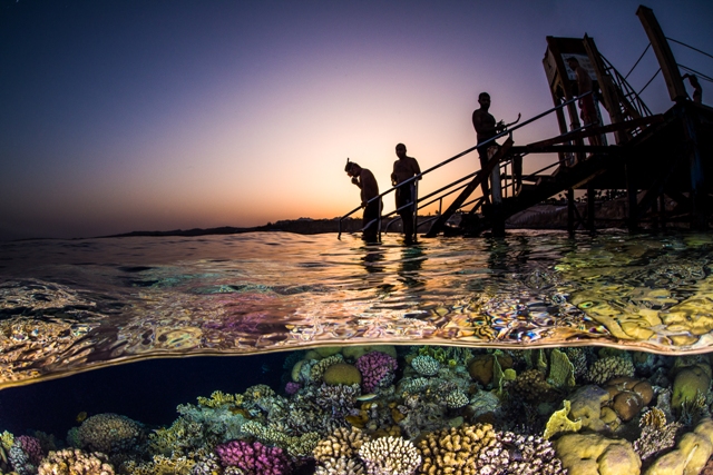 mergulhadores ao por do sol prêmio de fotografia concurso de fotografia fotografia do oceano fotógrafo do oceano Ocean Photography Awards Egito