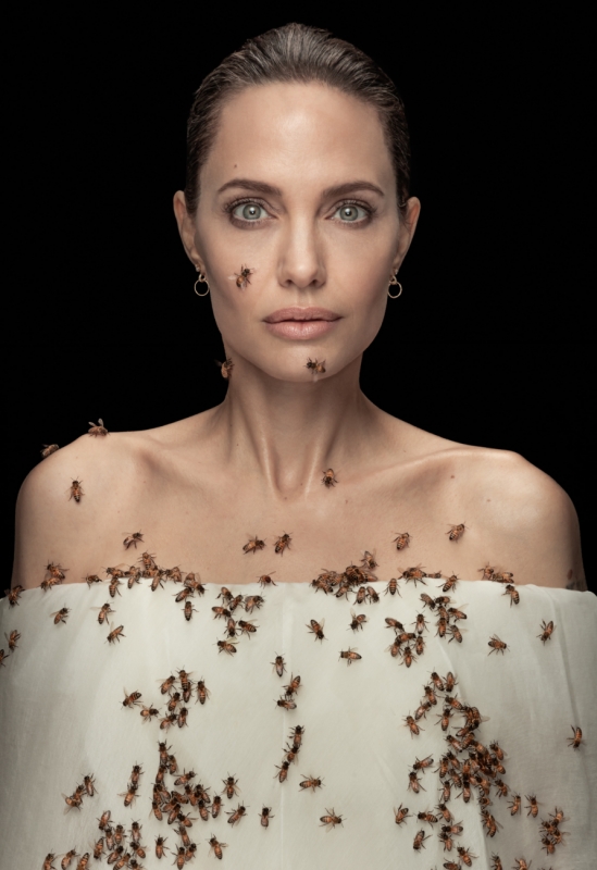 Angelina Jolie e abelhas prêmio de fotografia concurso de fotografia Siena Photo Awards fotografia de personalidades