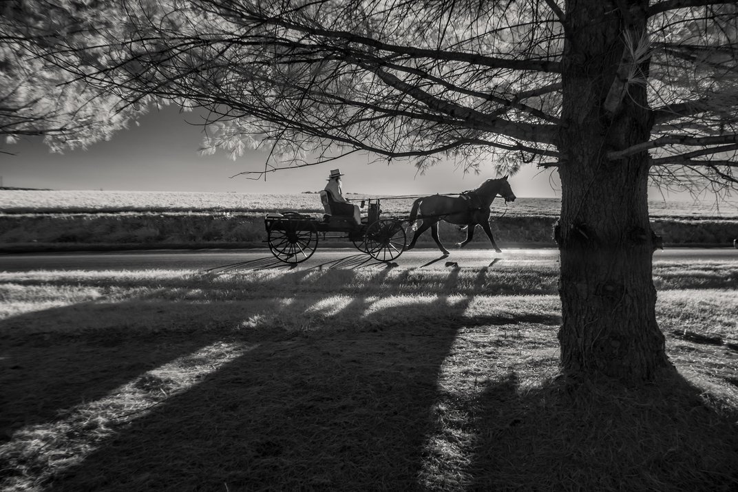 homen na charrete concurso de fotografia prêmio de fotografia Smithsonian EUA