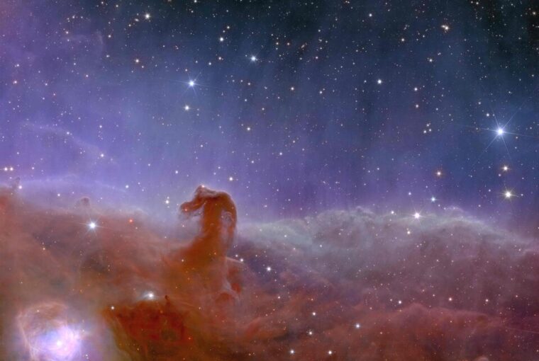 Nebulosa Cabeça de Cavalo fotografada pelo telescópio Euclid, 'concorrente' do James Webb