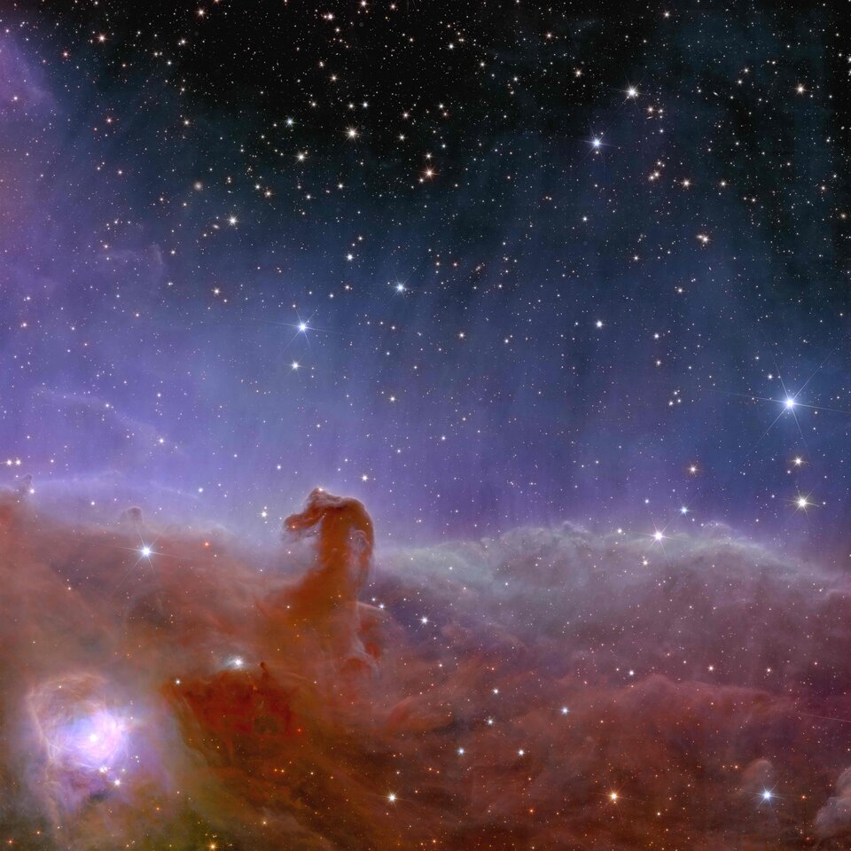 Nebulosa Cabeça de Cavalo fotografada pelo telescópio Euclid, 'concorrente' do James Webb
