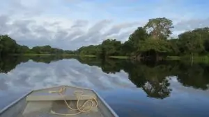 bolsa Pulitzer jornalismo ambiental na Amazônia