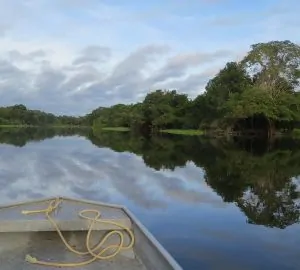 bolsa Pulitzer jornalismo ambiental na Amazônia