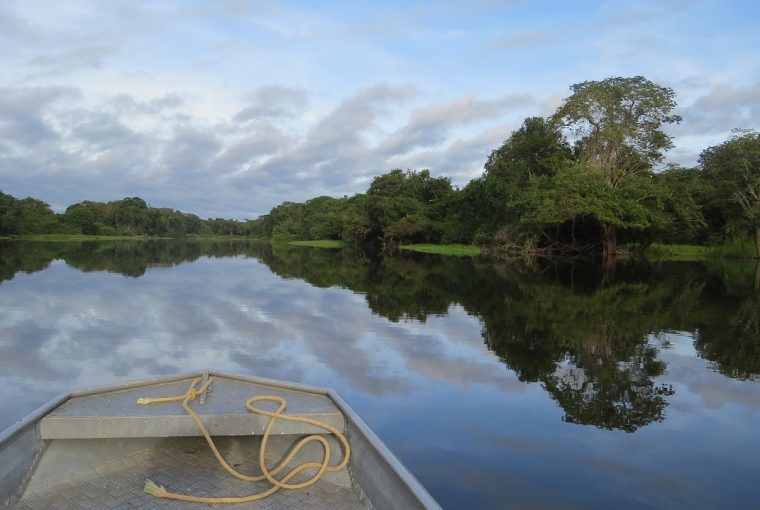 bolsa Pulitzer jornalismo ambiental na Amazônia
