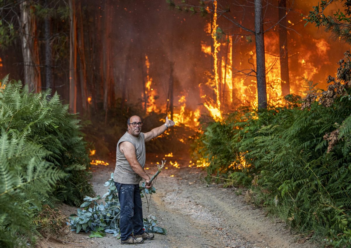 Incêndio florestal mudança climática Portugal fotojornalismo