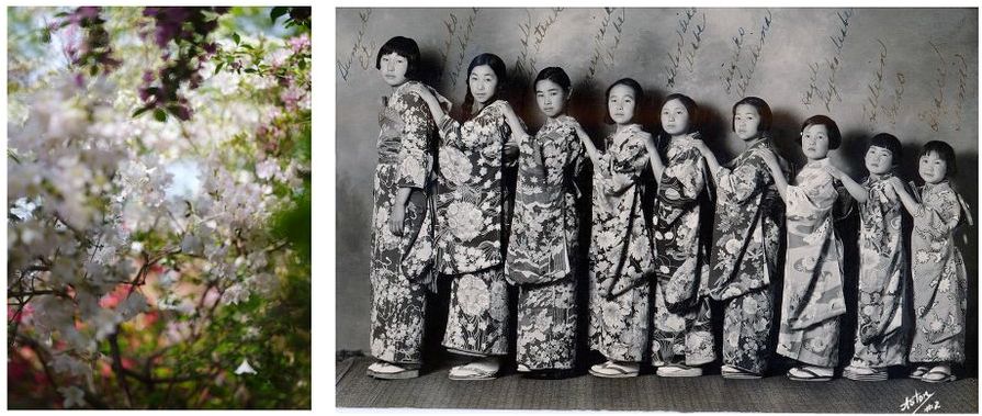 japoneses campo de concentração prêmio de fotografia fotografia de arte LensCulture