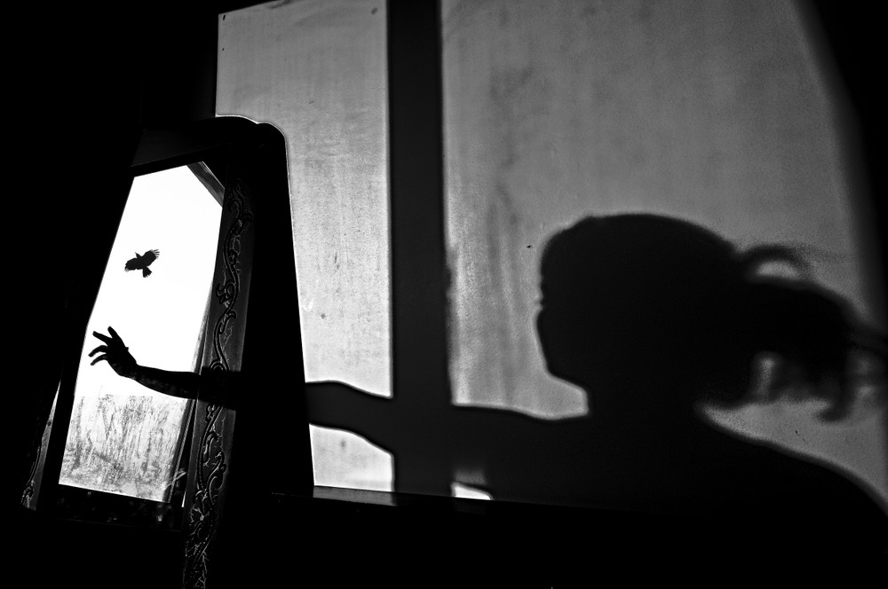 mulher pássaro sombra fotografia de arte prêmio de fotografia