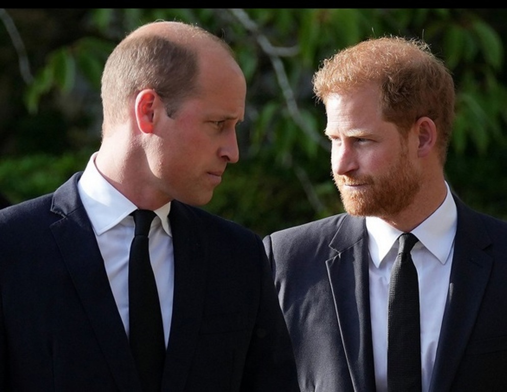 Príncipes William e Harry prêmio de fotojornalsimo BPPA Londres