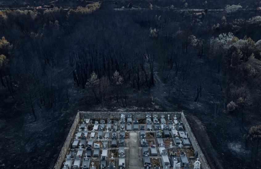 área queimada em volta do cemitério