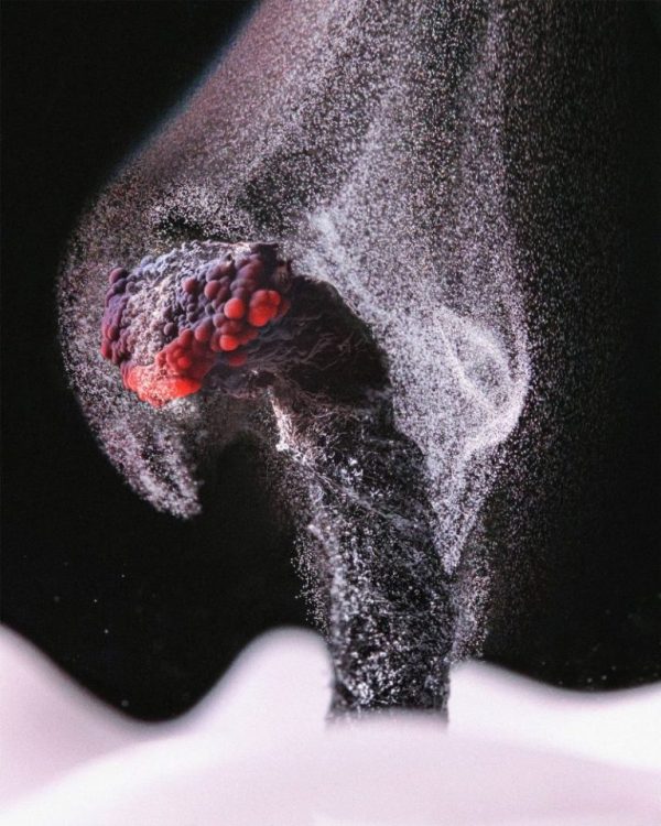 Partículas não queimadas cera da vela se decompondo microfotografia fotografia de microscópio