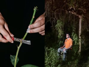 Trabalho com frutas tropicas na Sicília é uma das imagens de Meio Ambiente finalista do concurso Sony Photography Awards