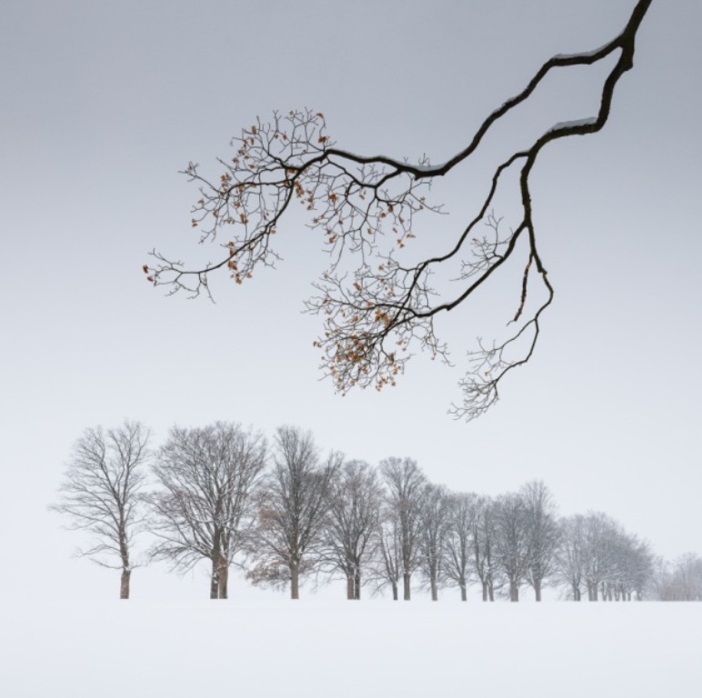 paisagem de inverno concurso de fotografia prêmio de fotografia fotografia da natureza República Checa