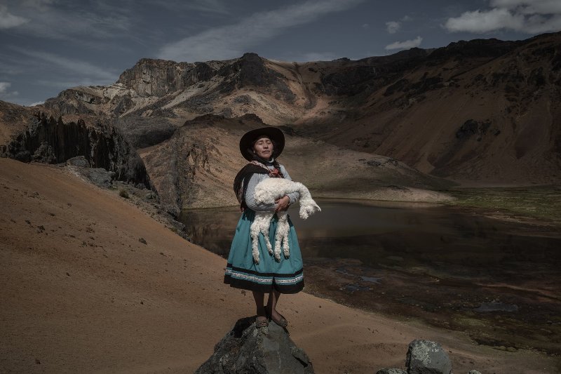 criadora de alpaca concurso prêmio de fotojornalismo WPP