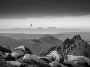 Corvo voa sobre montanhas na Escócia, imagem premiada em concurso britânico 