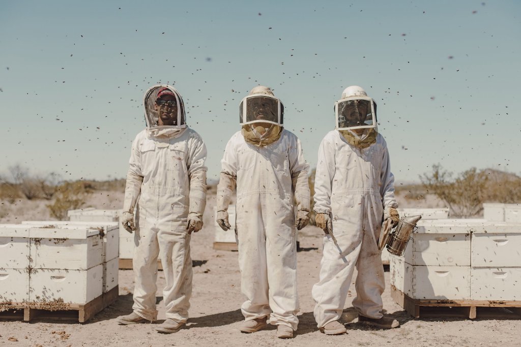 criadores de abelhas EUA mundaças climáticas meio ambiente