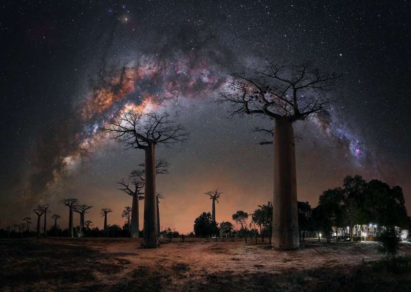 Foto do arco completo da Via Láctea na Baoba Avenue em Madagascar é uma das melhores imagens do Fotógrafo do Ano da Via Láctea 2023