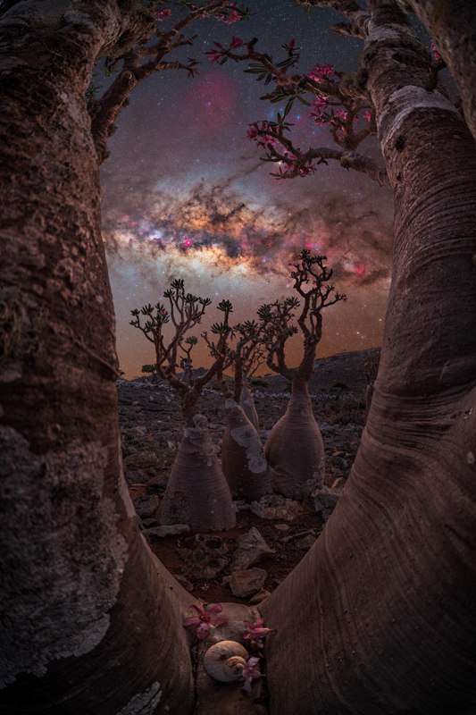 Foto da Via Láctea na Ilha Socotra no Iêmen é uma das melhores do Fotografo do Ano da Via Láctea 2023