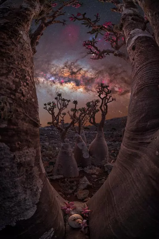 Foto da Via Láctea na Ilha Socotra no Iêmen é uma das melhores do Fotografo do Ano da Via Láctea 2023