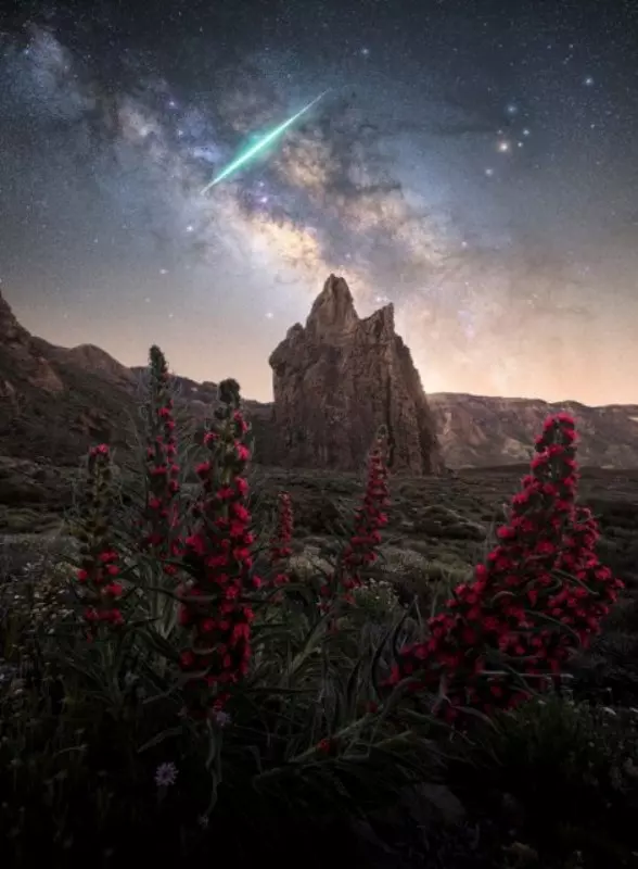 Foto da Via Láctea e formação rochosa que lembra uma catedral em Tenerife, Espanha é uma das melhores imagens do Fotógrafo do Ano da Via Láctea 2023