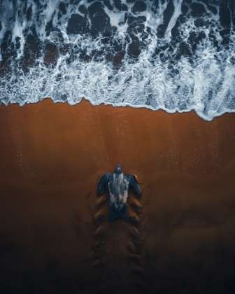 Foto de tartaruga indo para a água é uma das finalistas do prêmio de fotografia aérea Drone Photo Awards
