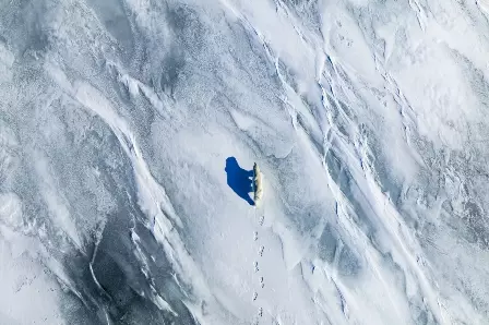 Foto de urso caminhando no gelo é uma das finalistas do prêmio de fotografia aérea Drone Photo Awards