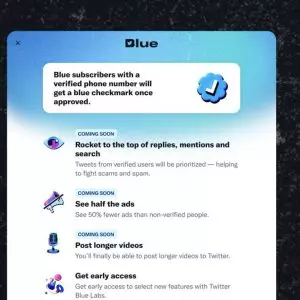Pesquisa mostra que contas com Selo Azul do Twitter seguem postando conteúdo de ódio mesmo quando postagens nocivas são relatadas