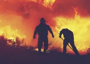 Ondas de calor causam incêndios florestais em vários países da Europa