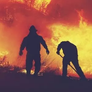 Ondas de calor causam incêndios florestais em vários países da Europa