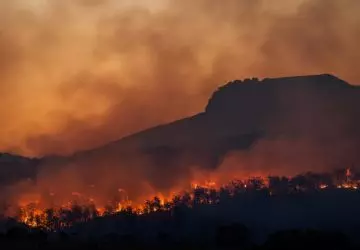 Incêndio florestal devido às ondas de calor e mudanças climáticas